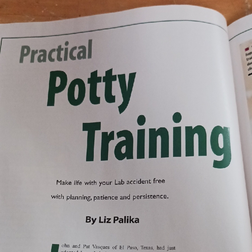 Training Secrets for Labrador Retrievers Magazine - Picture 3 of 7